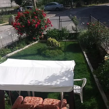 Mira Dobrinichte