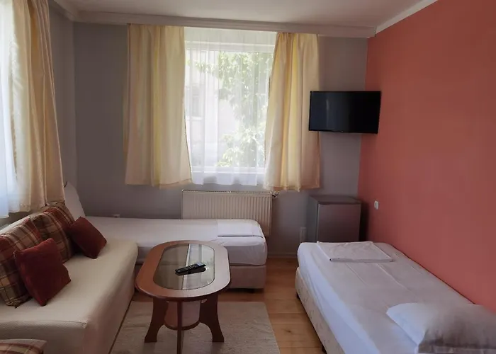 Pensiune Mira Dobriniște